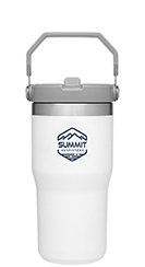 20 oz. IceFlow™ 1.0 Flip Straw Tumbler by Stanley®